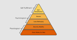 Maslow's hierarchy of needs