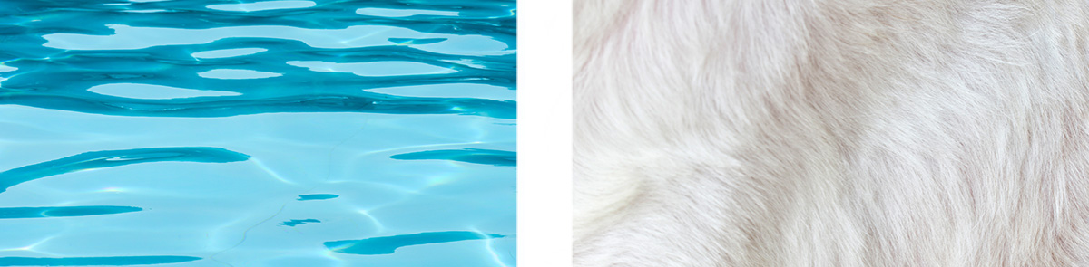 Comparison of water texture vs. fur texture