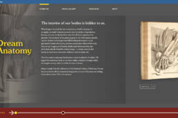 Screenshot of the landing page of the NLM Dream Anatomy Exhibition Website