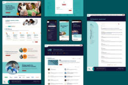 Website design examples